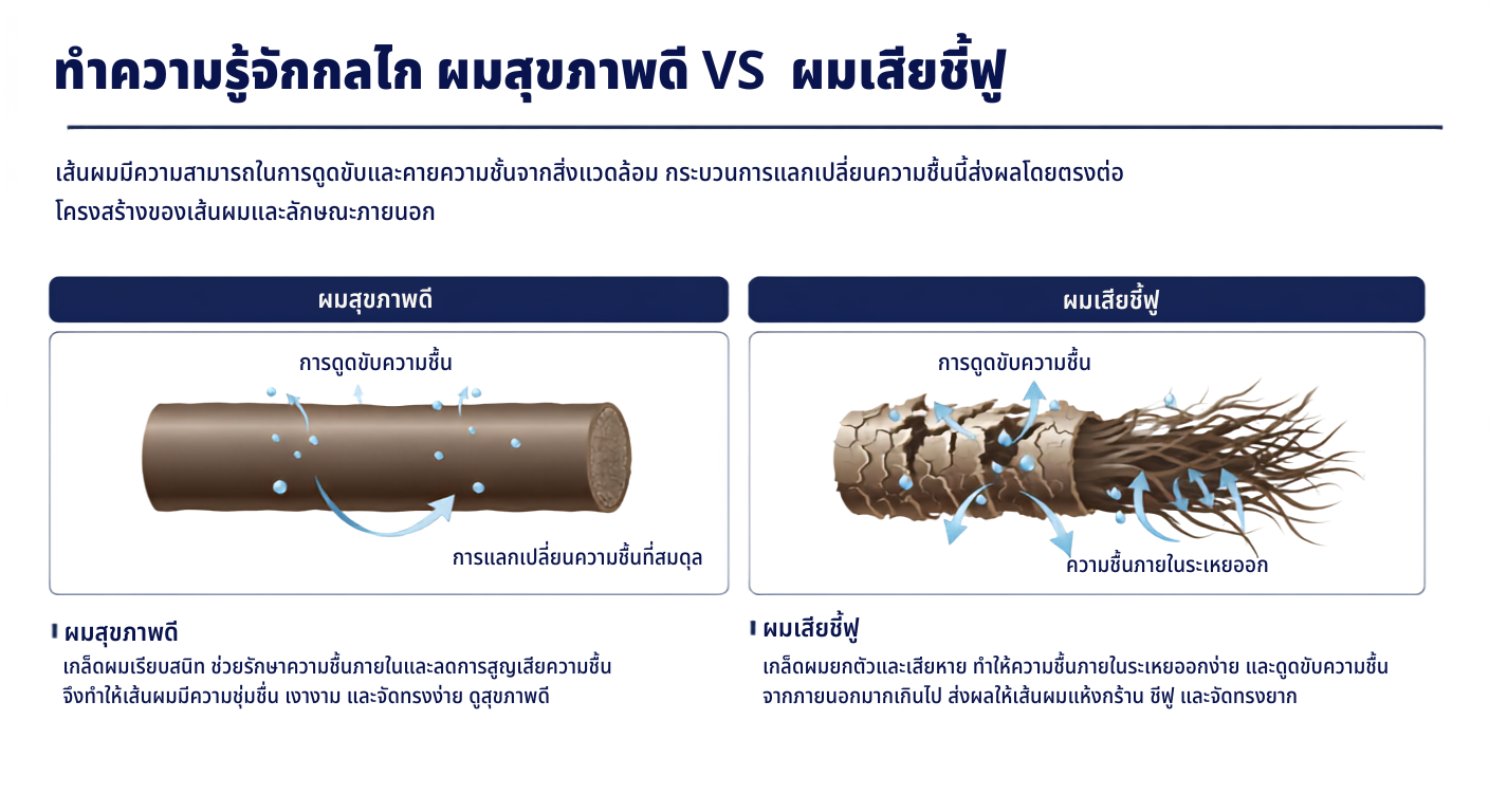 ผม แห้ง เสีย