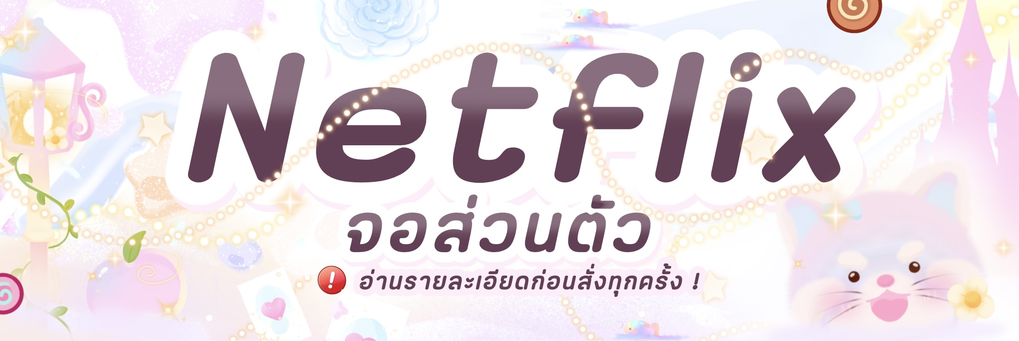 Netflix จอส่วนตัว