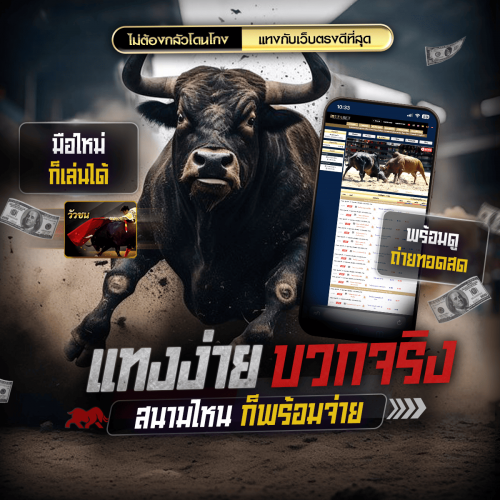 แทงวัวชน