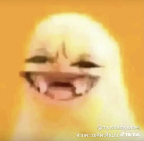 1779785290239.jpg