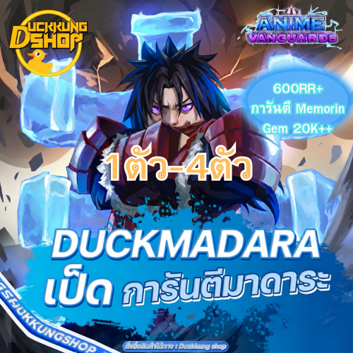 200-300RR-5.png