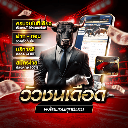 แทงวัวชน