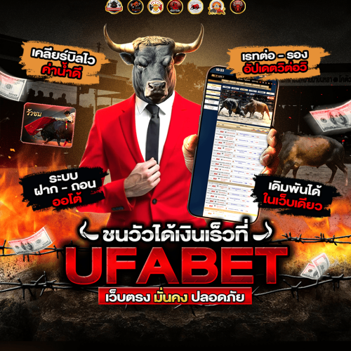 โปรแกรมวัวชนวันนี้