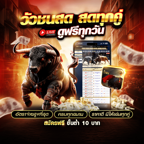 ดูวัวชน