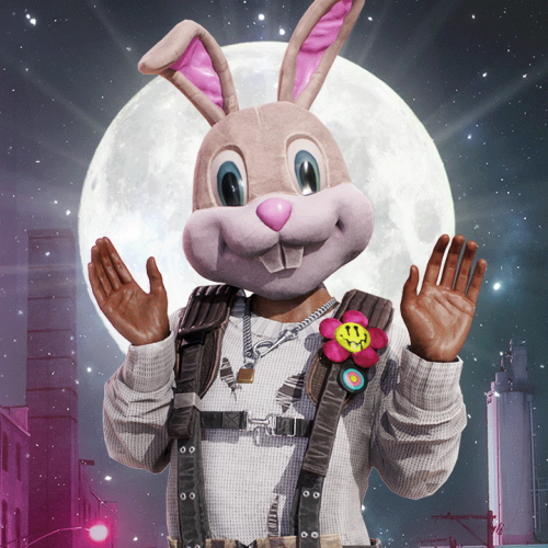 BUNNY-ACADEMY-MASCOT-SET.png