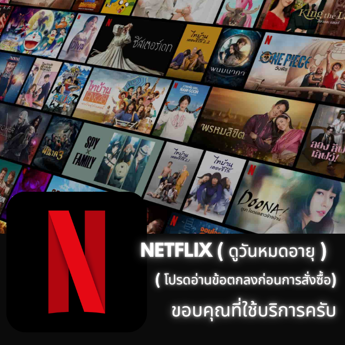 Netflix 4K /30วัน (จอส่วนตัว)