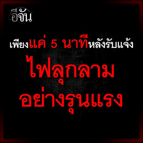 FB IMG 1783907514654