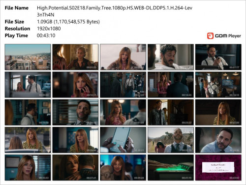 High.Potential.S02E18.Family.Tree.1080p.HS.WEB-DL.DDP5.1.H.264-Lev3nTh4N_Snapshot.jpg