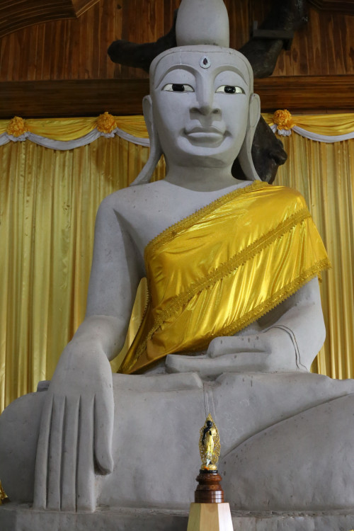 IMG_3489_resize.jpg