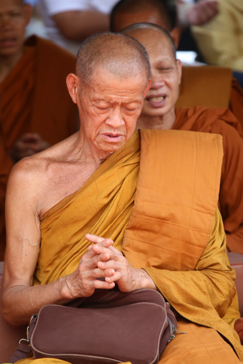 IMG_7803_resize.jpg