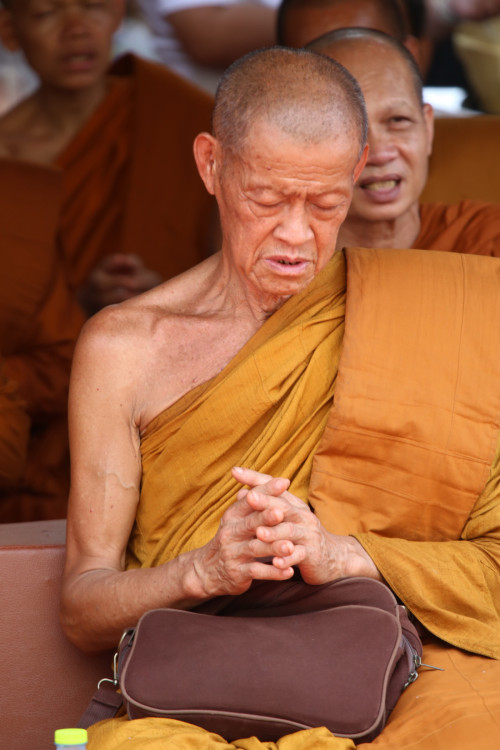 IMG_7804_resize.jpg