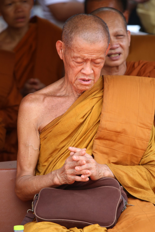 IMG_7806_resize.jpg