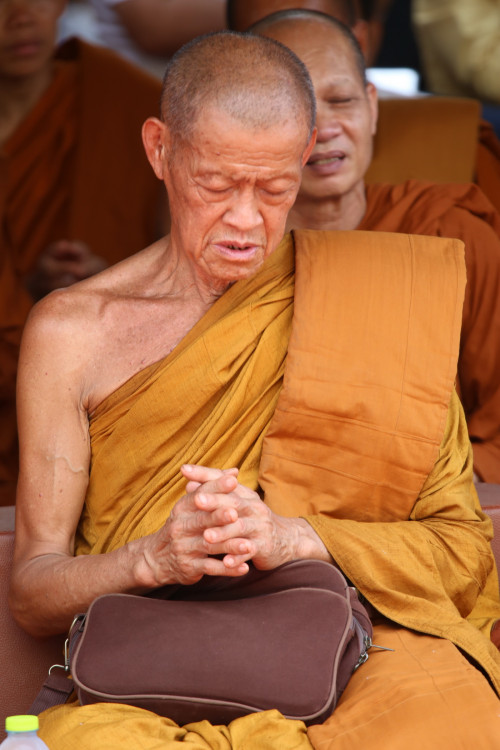 IMG_7807_resize.jpg