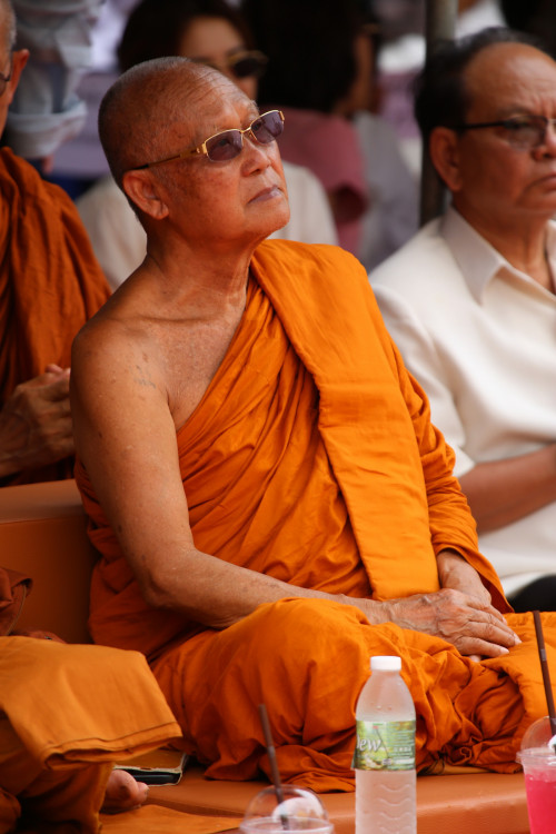 IMG_7940_resize.jpg