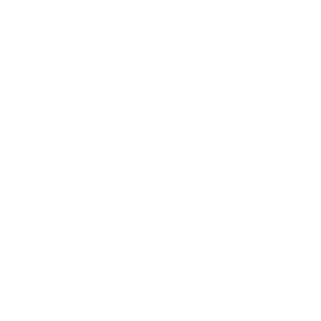 Soul Vision