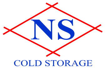 NS Logo