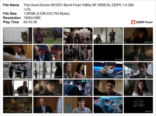 The.Good.Doctor-S01E01.Burnt.Food.1080p.NF.WEB-DL.DDP5.1.H.264-LOL_Snapshot.jpg