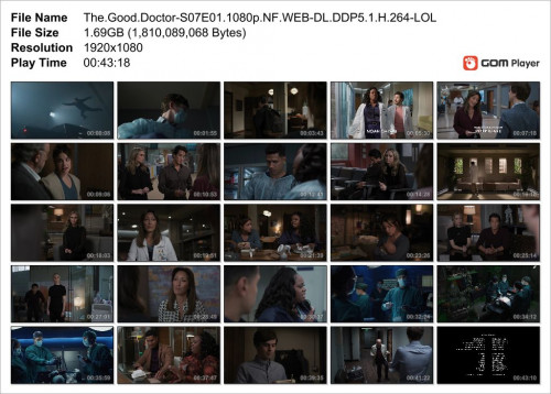 The.Good.Doctor-S07E01.1080p.NF.WEB-DL.DDP5.1.H.264-LOL_Snapshot.jpg