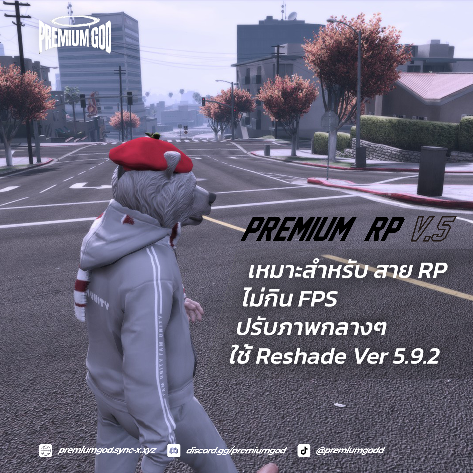 Premium - V5