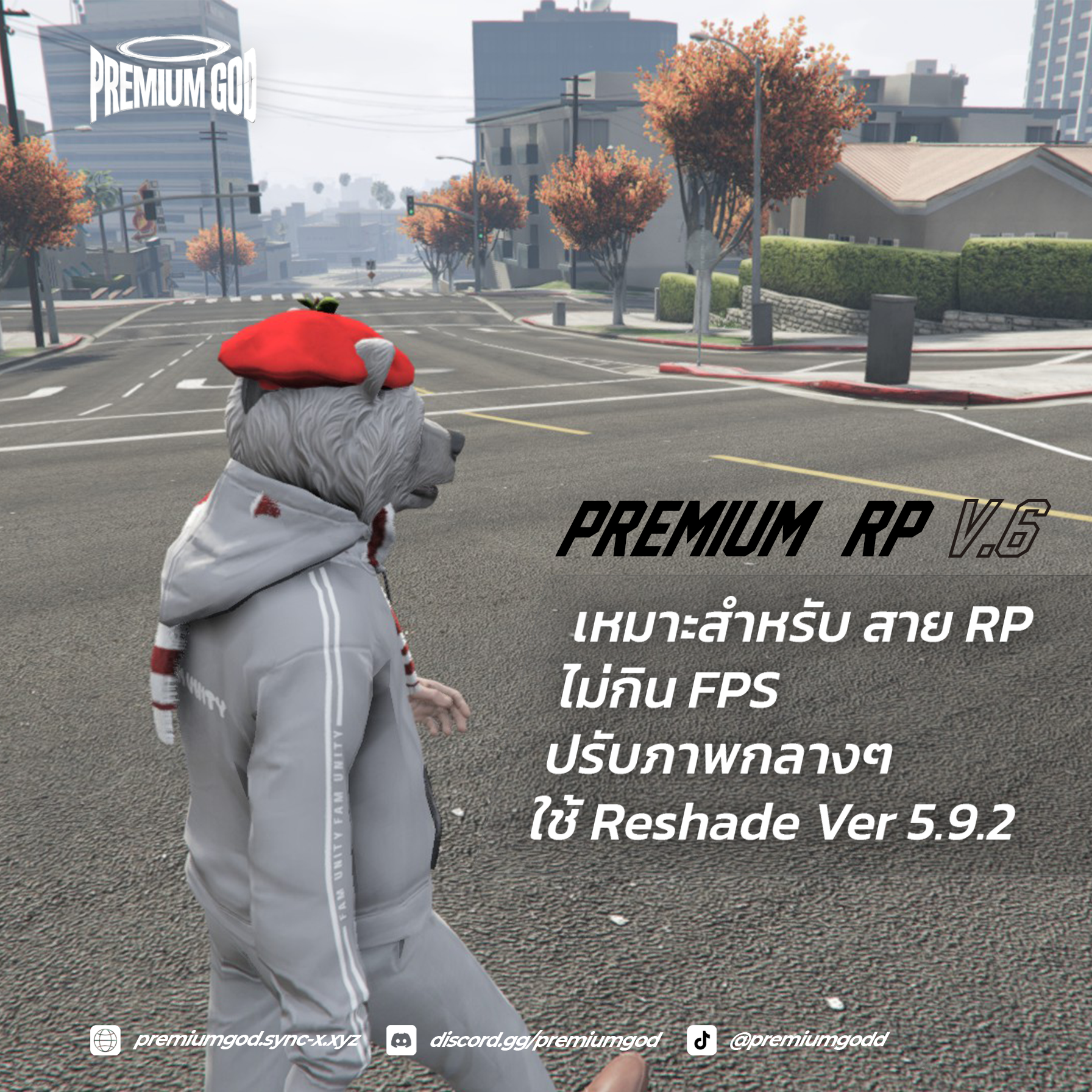 Premium - V6