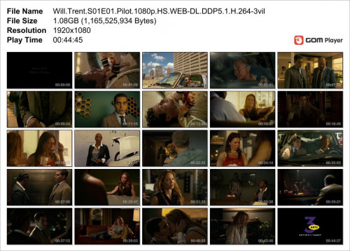 Will.Trent.S01E01.Pilot.1080p.HS.WEB-DL.DDP5.1.H.264-3vil_Snapshot.jpg