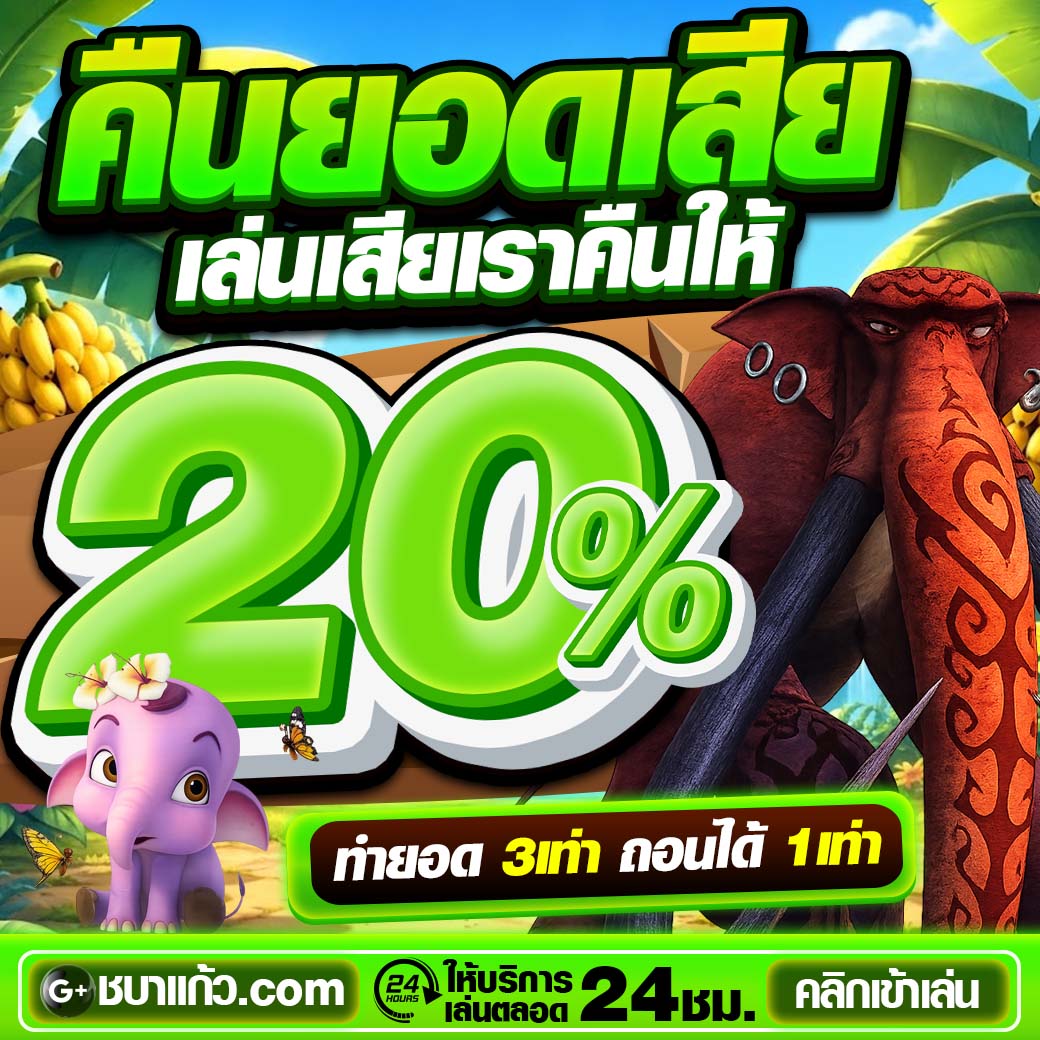 ชบาแก้ว คืนยอดเสีย