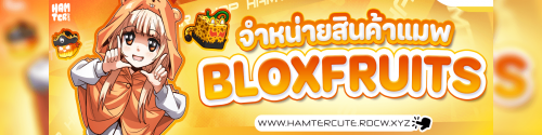 banner_hamter_crop_left_1640_upload.png