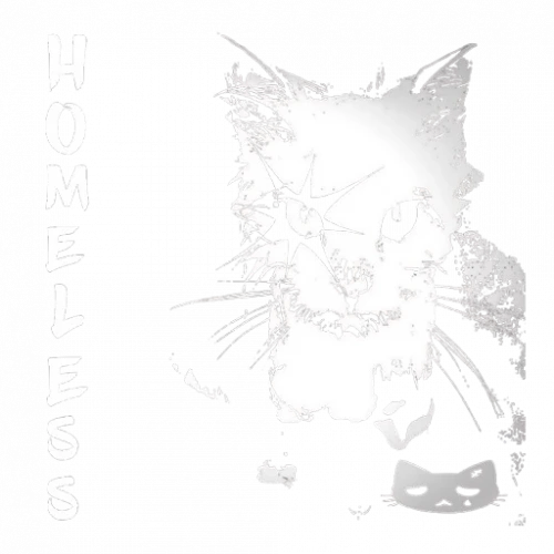 homeless.webp