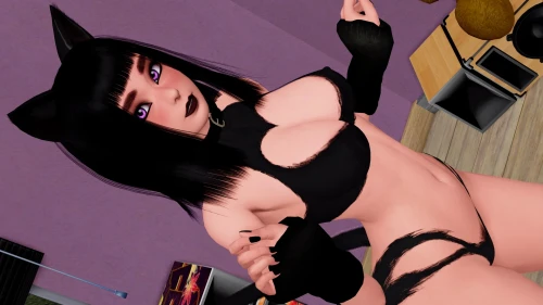 kittymaxy8.webp