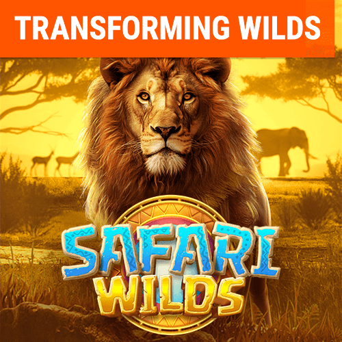 ทดลองเล่น safari wilds